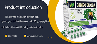 banner_right_1ginkgo