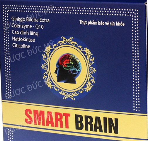 brain