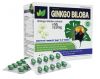 ginkgo-biloba - ảnh nhỏ  1