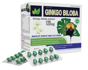 Ginkgo Biloba