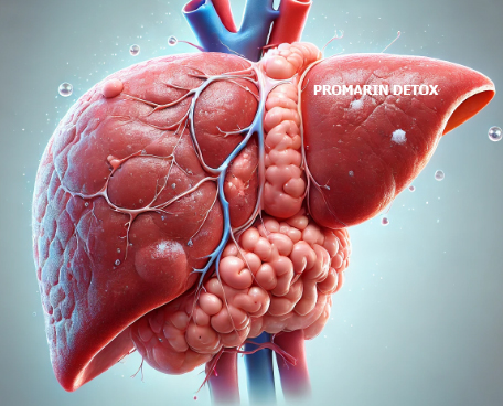 Promarin Detox: Giải pháp tối ưu hỗ trợ gan nhiễm mỡ và giải độc gan